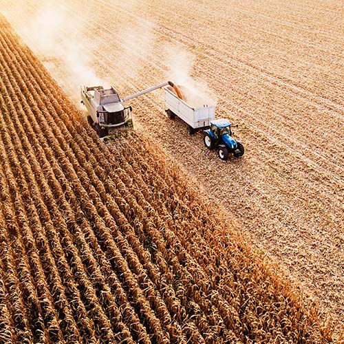 combine harvesting